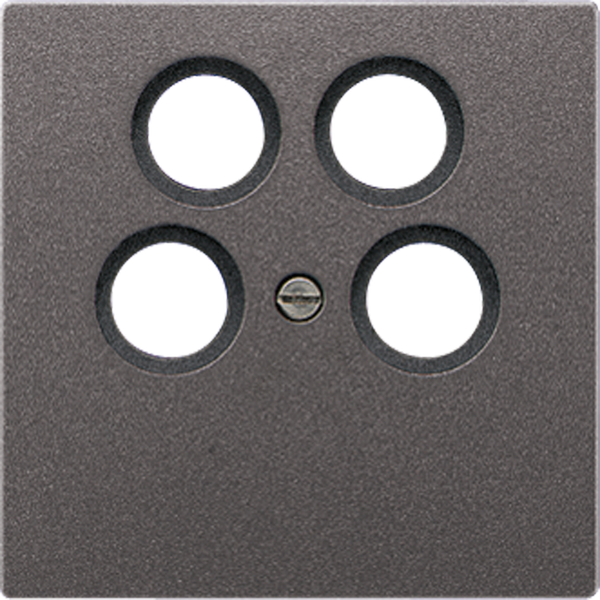 Centre plate AL2990-4SAT2AN image 3