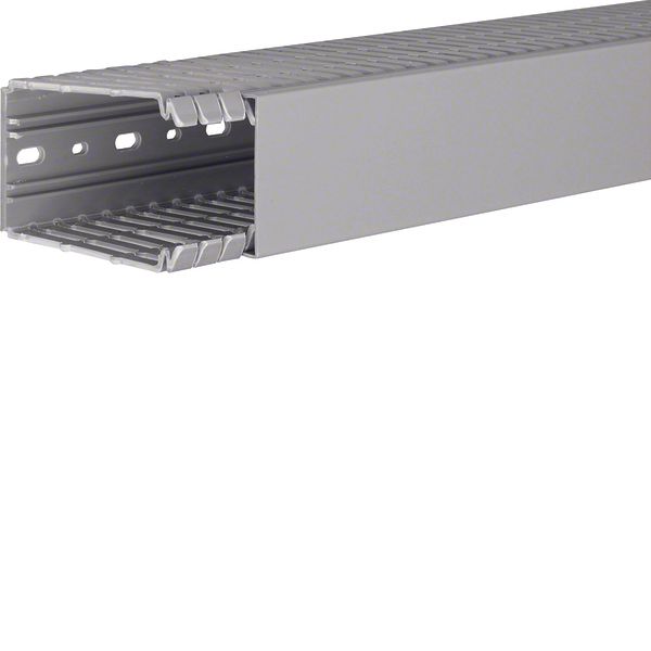 Panel trunking BA7 slotted 100×60 grey image 1