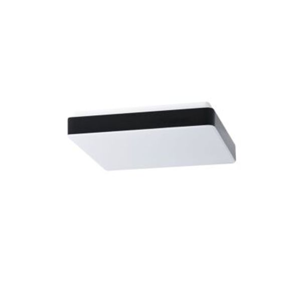 TILIA C2 LED-1L33B07NU3/PC33C HF 3000 image 1