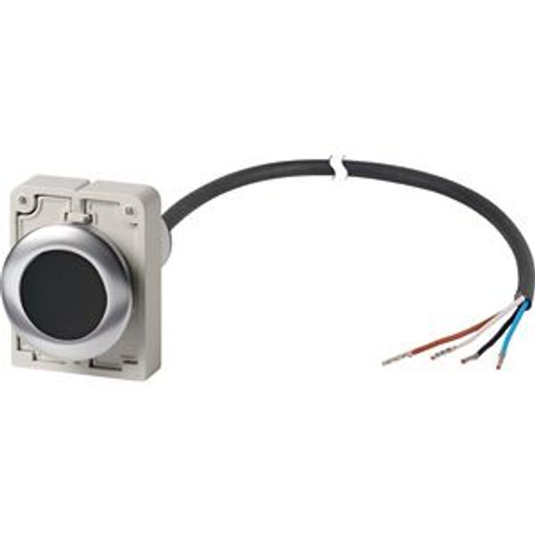 Pushbutton, Flat, maintained, 1 NC, Cable (black) with non-terminated end, 4 pole, 3.5 m, black, Blank, Metal bezel image 2
