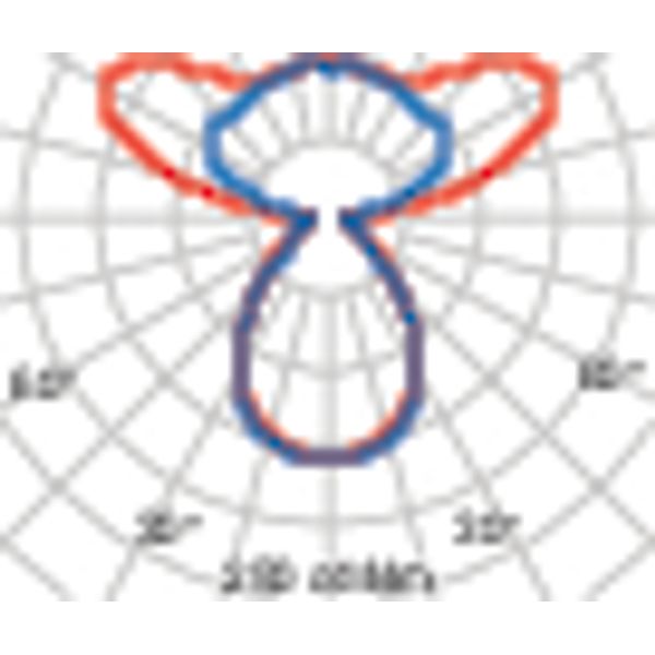 SL713+PL RL 48 S/C 830 BK9005 MP image 6