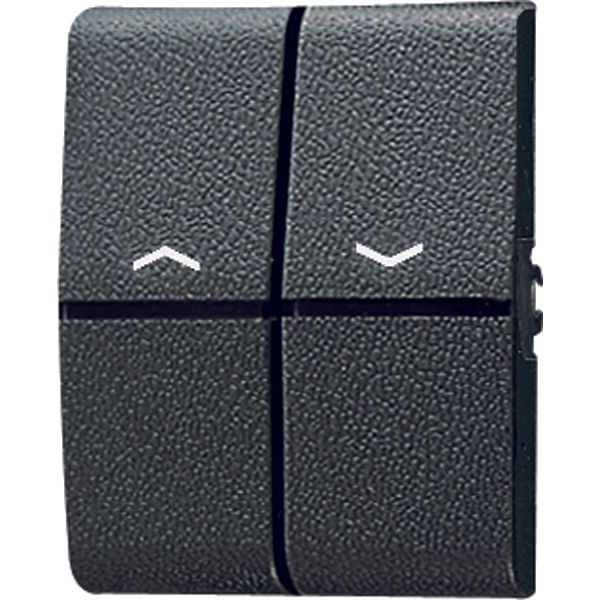 2-gang rocker for push-button BCU switch 805P image 2