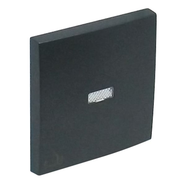 ROCK F/LIGHT SWITCH/PUSH-BUT W/BELL SYMB GRAY image 2