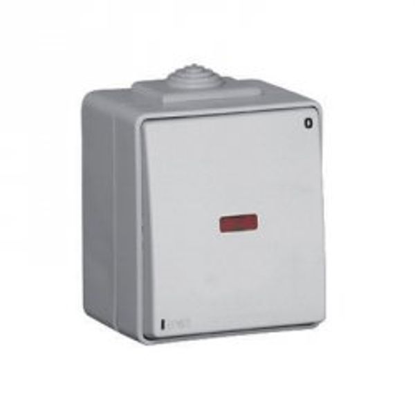 TWO-WAY SWITCH WITH PILOT LAMP GREY image 1