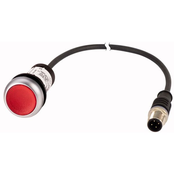 C22-DL-R-K01-24-P5 Illuminated pushbutton actuator, Flat, momentary, 1 NC, Cable (black) with M12A plug, 4 pole, 1 m, LED Red, red, Blank, 24 V AC/DC, Bezel: titanium image 1