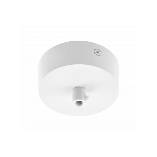 Cover plate for pendant luminaires with terminal block and cable, 80x28 mm, white image 1
