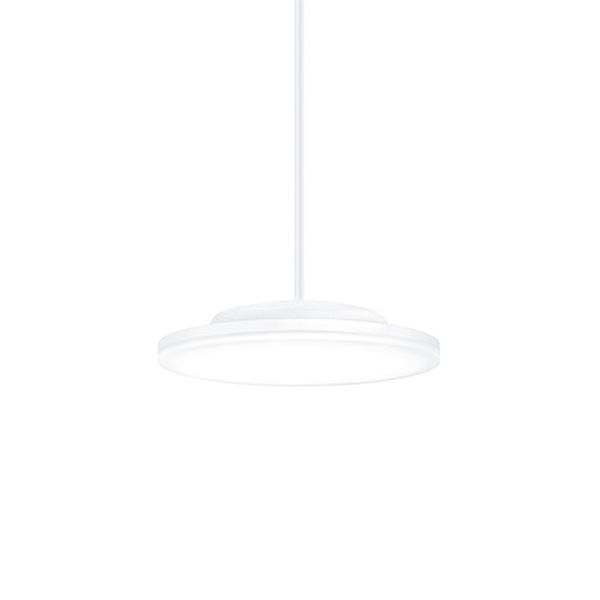 CAELA RMS LED1500-940 OP WH WH APWH - Pendant LED luminaire image 1