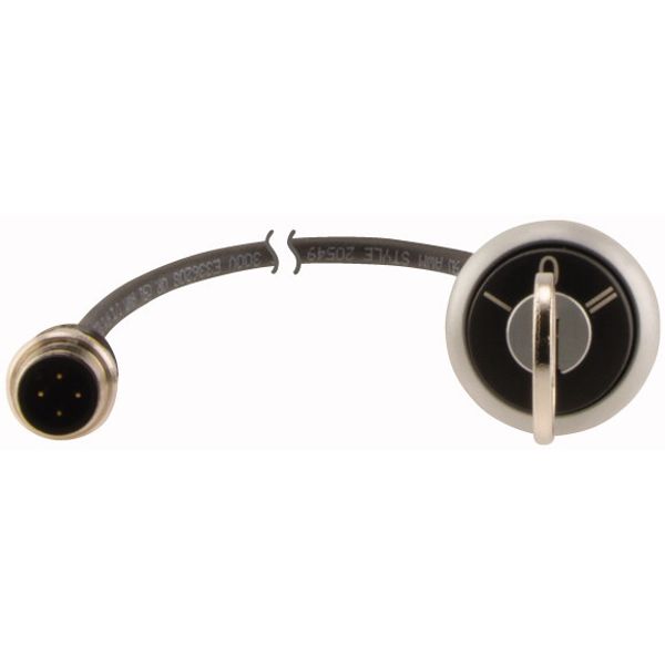 C22-WRS3-MS1-K20-P5 Key-operated actuator, RMQ compact solution, maintained, 2 N/O, Cable (black) with M12A plug, 4 pole, 1 m, 3 positions, MS1, Bezel: titanium image 2