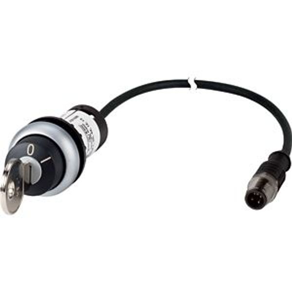 C22-WS-MS1-K10-P1 Key-operated actuator, RMQ compact solution, momentary, 1 N/O, Cable (black) with M12A plug, 4 pole, 0.2 m, 2 positions, MS1, Bezel: titanium image 5