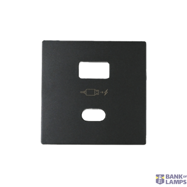 Cover for USB charger A+C type, Graphite image 1