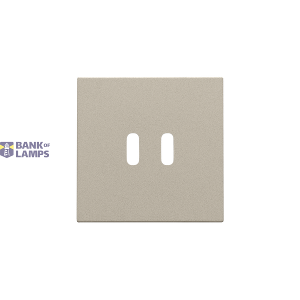 Finishing set for dual smart USB-C charger, champagne coated image 2