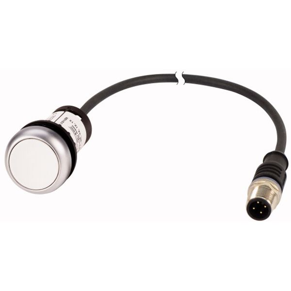 C22-D-W-K10-P3 Pushbutton, Flat, momentary, 1 N/O, Cable (black) with M12A plug, 4 pole, 0.5 m, White, Blank, Bezel: titanium image 1