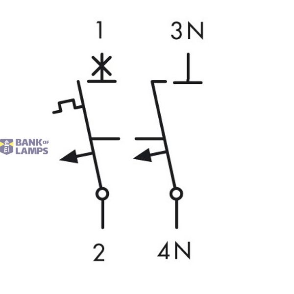 Miniature Circuit Breaker (MCB) AMPARO 10kA, C 50A, 1+N image 3