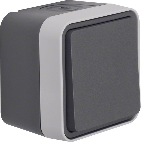 Change-over switch surface-mounted, W.1, grey image 1