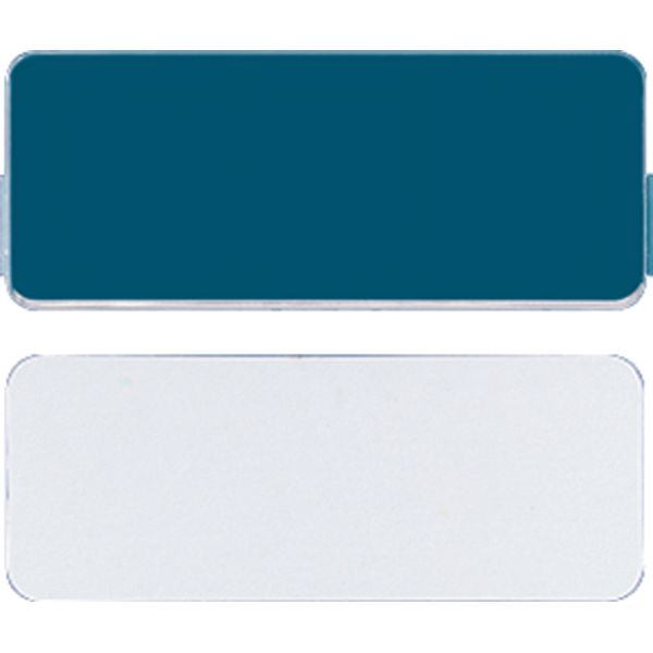 Perspex centre plate CD54NA image 1