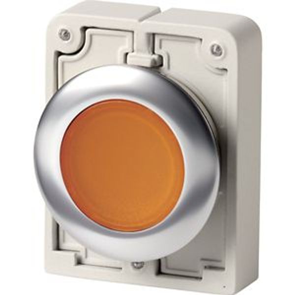 M30I-FDRL-A Illuminated pushbutton actuator, RMQ-Titan, flat, maintained, orange, blank, Front ring stainless steel image 2