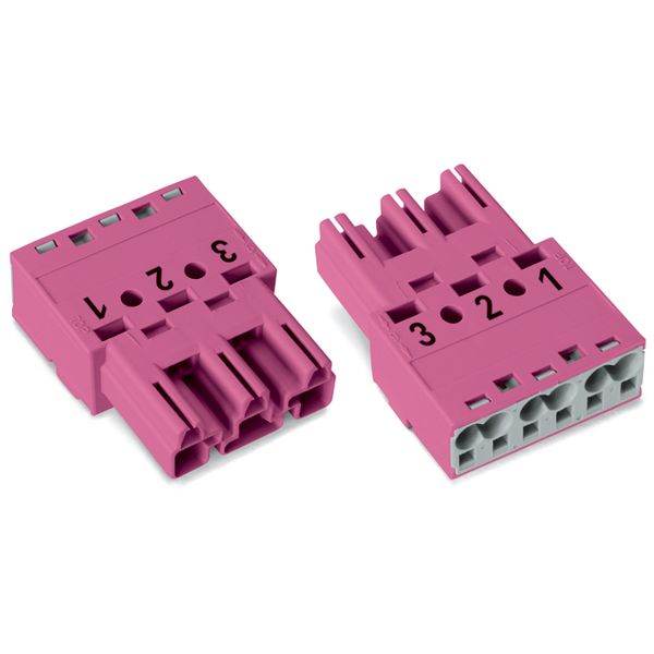 Plug 3-pole Cod. B pink image 2