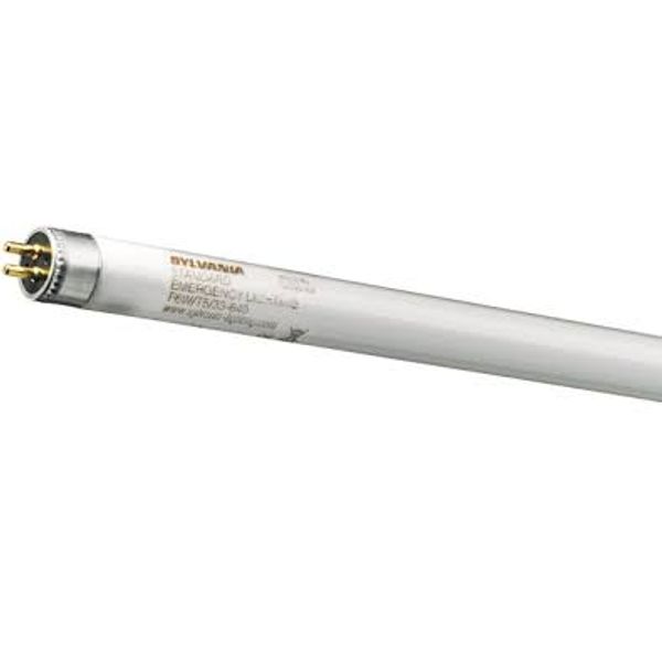 36W/125-740 105cm T8 image 1