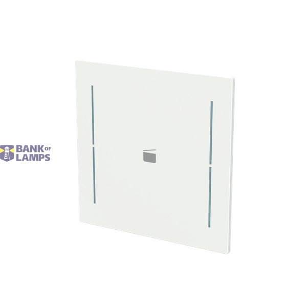 LFS/A.1.70.1-44M Cover plate with legend with Symbol "scene" studio white matt - Trevion® image 2