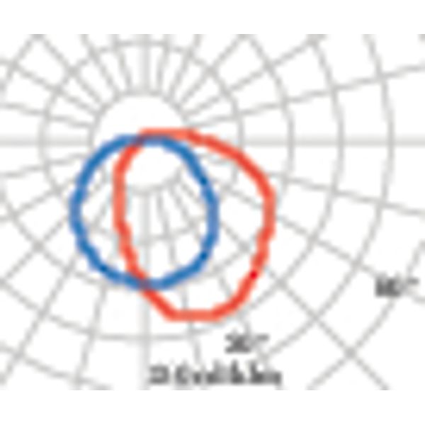 CHIP OVAL 30 GRILL BLACK E27 image 4