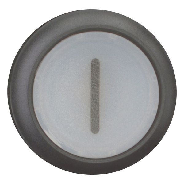 M22S-DRL-W-X1 Illuminated pushbutton actuator, RMQ-Titan, Flush, maintained, White, inscribed 1, Bezel: black image 10