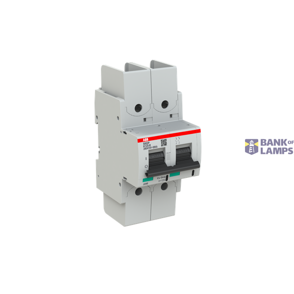 S802P-K125-R circuit breaker image 2