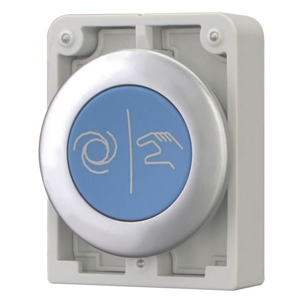 M30C-FD-B-X217 Pushbutton, RMQ-Titan, Flat, momentary, Blue, inscribed, Metal bezel image 5