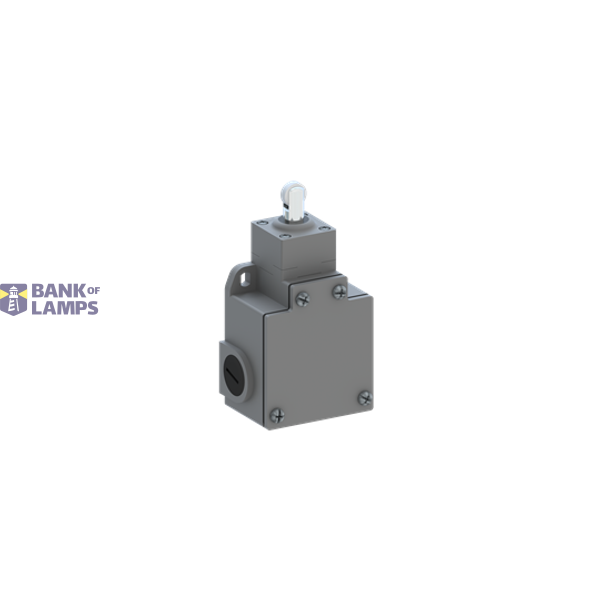 LS65M13B11 Limit Switch image 1