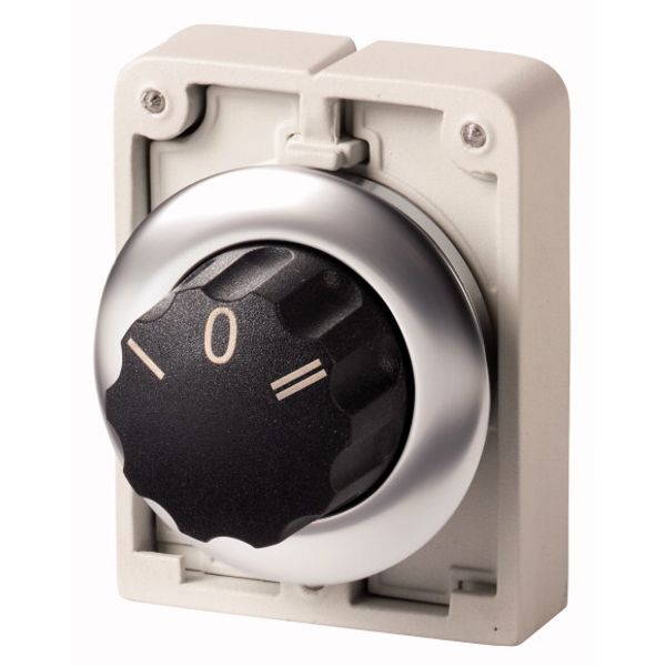 M30I-FW3 Changeover switch, RMQ-Titan, with rotary head, momentary, 3 positions, inscribed, Front ring stainless steel image 1