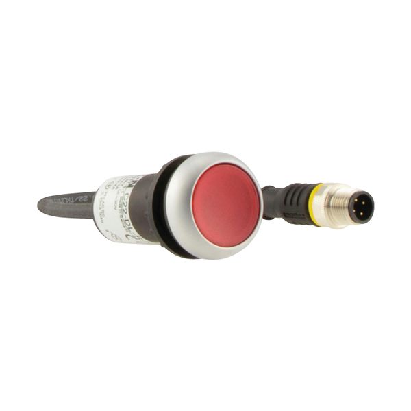 C22-DL-R-K01-24-P3 Illuminated pushbutton actuator, Flat, momentary, 1 NC, Cable (black) with M12A plug, 4 pole, 0.5 m, LED Red, red, Blank, 24 V AC/DC, Bezel: titanium image 17