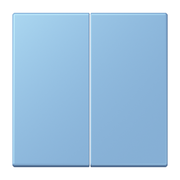 LB Management push-button 2-gang LC1702256 image 1