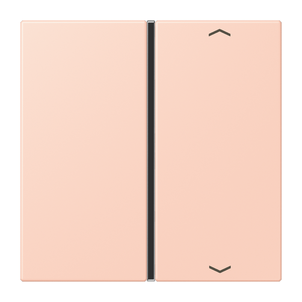 Cover 1-gang with symbols LC32112 LC401TSAP234 image 1