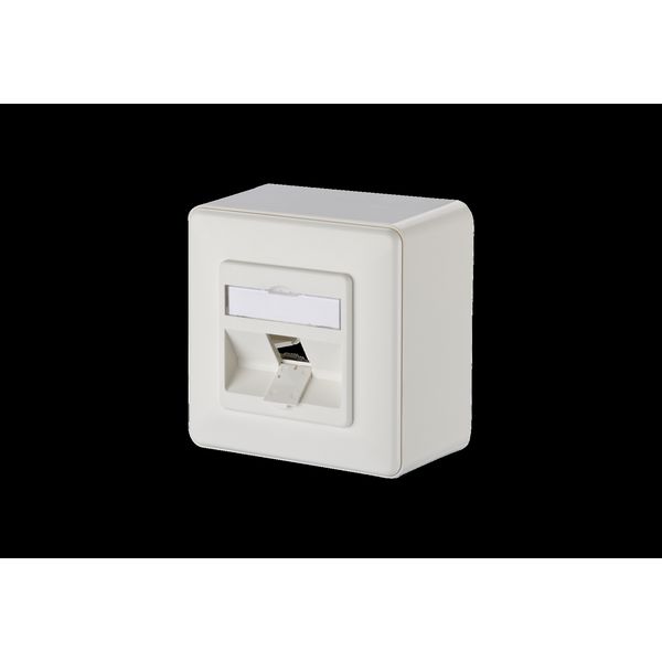 Keystone wall outlet surface mounted 1 port unequipped pure white image 2