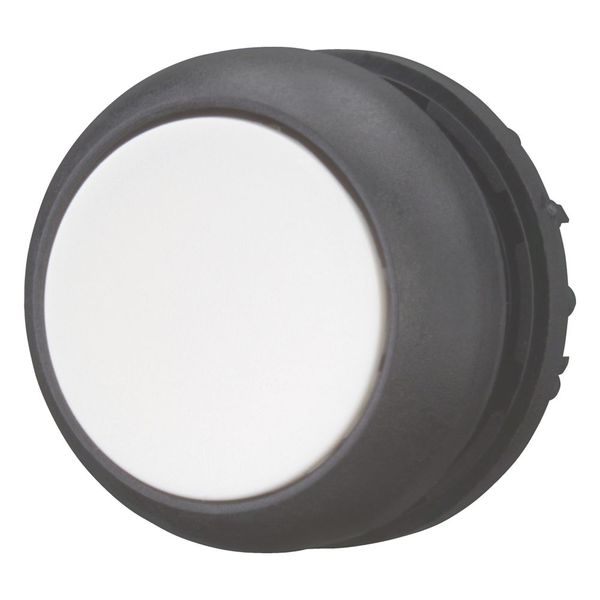 M22S-DR-W Pushbutton, RMQ-Titan, Flat, maintained, White, Blank, Bezel: black image 6