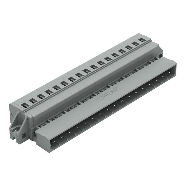 1-conductor male connector CAGE CLAMP® 2.5 mm² gray image 1