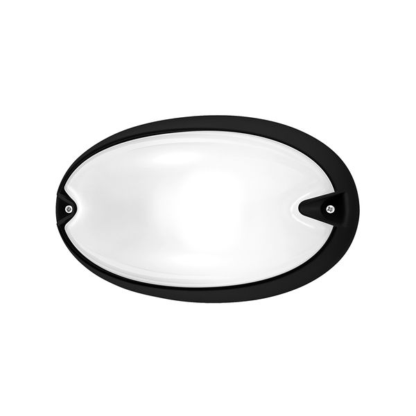 CHIP OVAL 25 LED 4000K BLACK 6.5W image 2