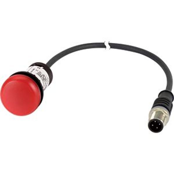 C22-L-R-24-P3 Indicator light, Flat, Cable (black) with M12A plug, 4 pole, 0.5 m, Lens Red, LED Red, 24 V AC/DC image 5