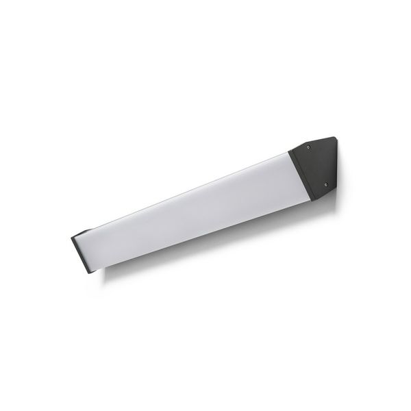 SANTOS 90 wall anthracite grey 230V LED 50W IP65 3000K image 1