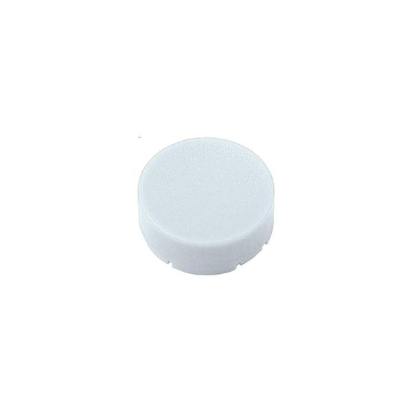 M22-XDH-W Button plate, raised white, blank image 2