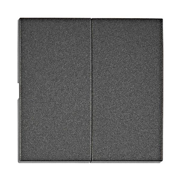 Rocker S 50 2-gang, anthracite image 1