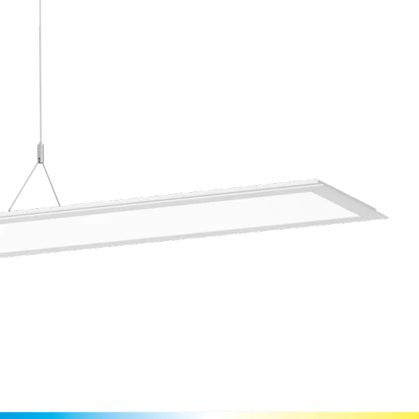 SL713+PL RL 50 S/C 8TW WIT BT MP image 2