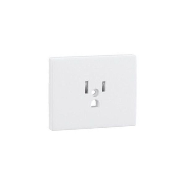 SAF C.PLATE F/EARTH SOCKET (USA NEMA) WHITE image 1