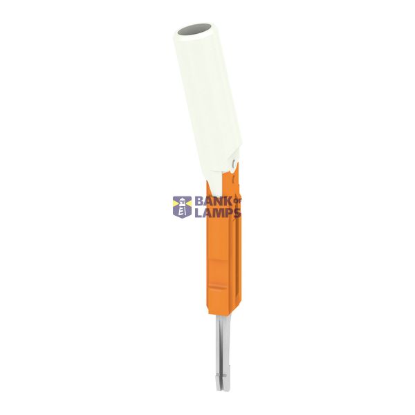 Socket (terminal), Plug-in depth: 11.5 mm, Depth: 51.3 mm image 1
