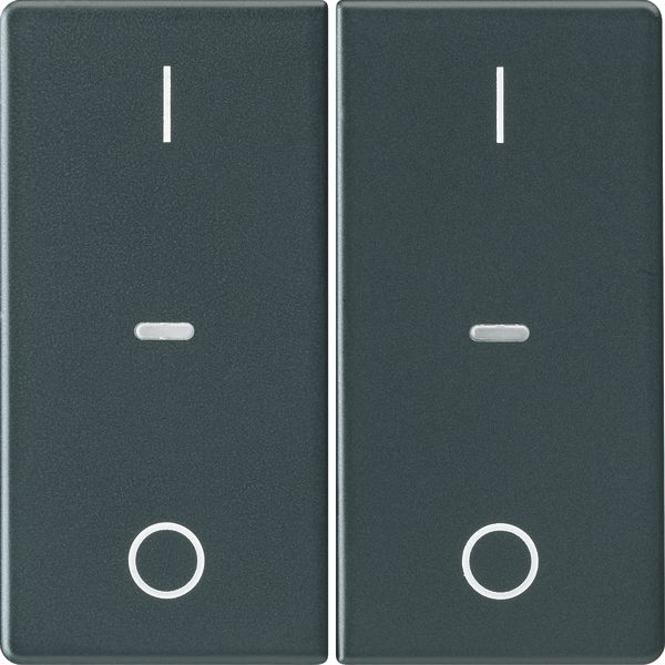 Cover I/O f. 2gang f. push-b. module, clearlenses, Q.1/Q.3, ant. velve image 1