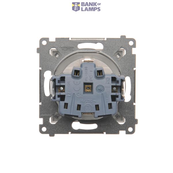 DATA single socket outlet with socket access element, (module), 16A, 250V, Screw, Bronze matt, metalic image 1