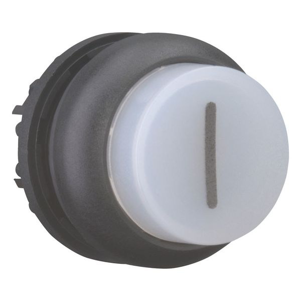 M22S-DRLH-W-X1 Illuminated pushbutton actuator, RMQ-Titan, Extended, maintained, White, inscribed 1, Bezel: black image 13
