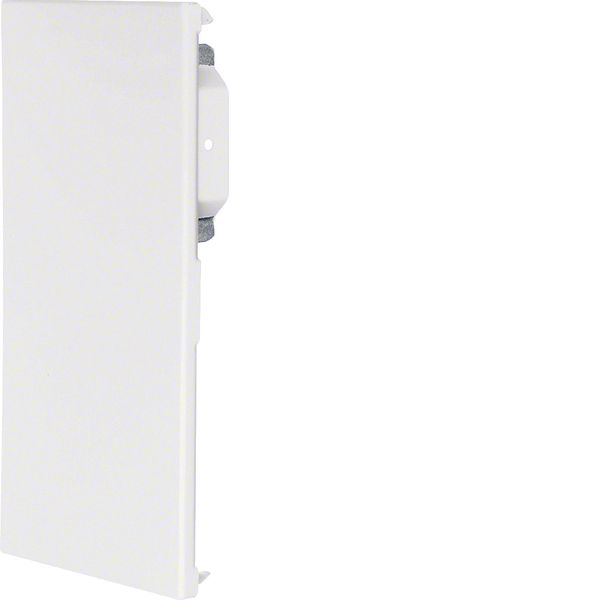 Endcap overlapping for BRS 100x210mm lid 2x80mm of sheet steel galvani image 1