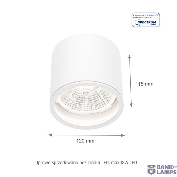 CHLOE AR111 GU10 Metalica IP20 round silver chrome image 10