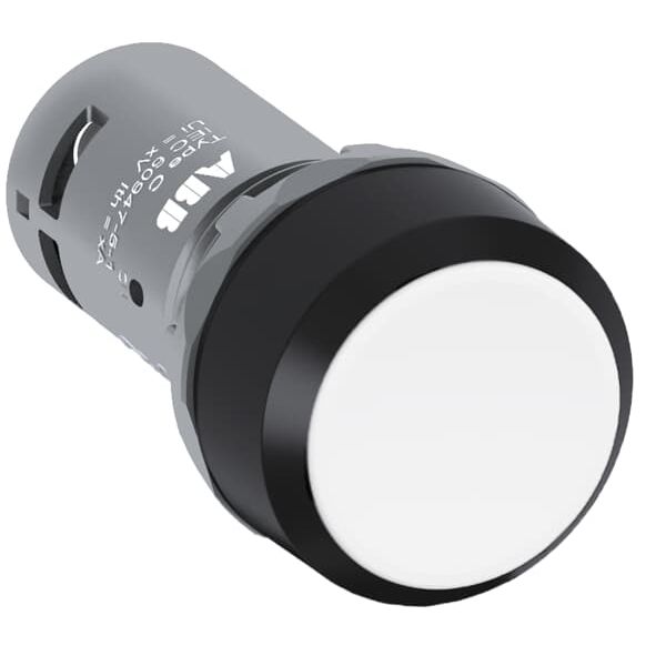 CP1-10B-01 Pushbutton image 6