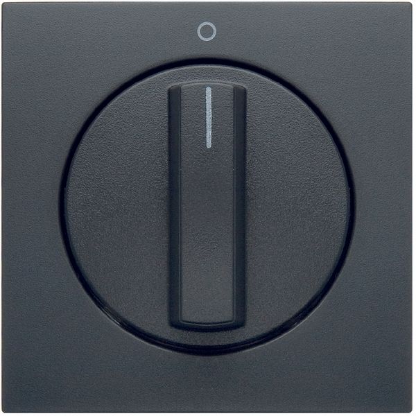 Cover. for rotary switch. birch S.1/B.3/B.7, anthracite image 1
